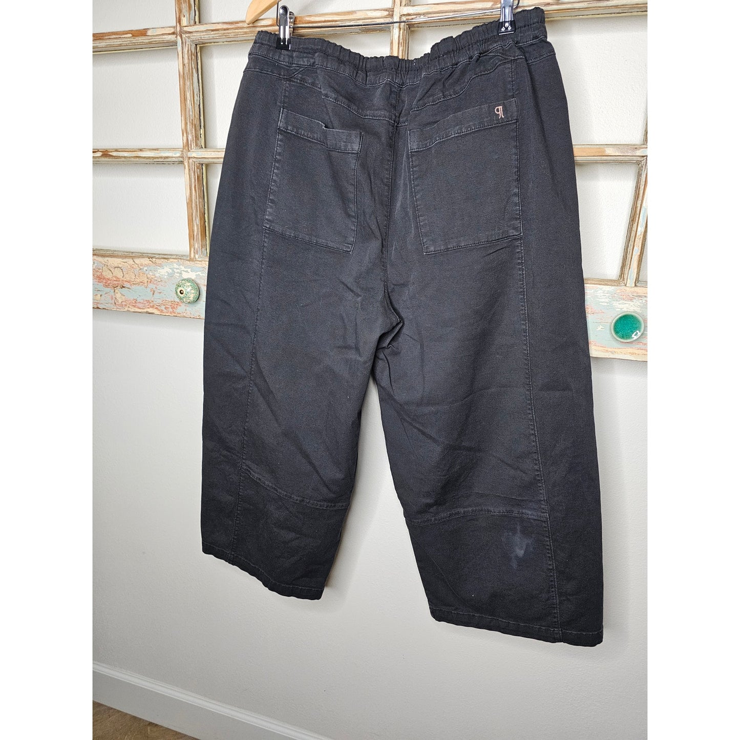 NWT Anthropologie Pilcro Carbon Cotton Elastic Waist Pants Ladies size 1X