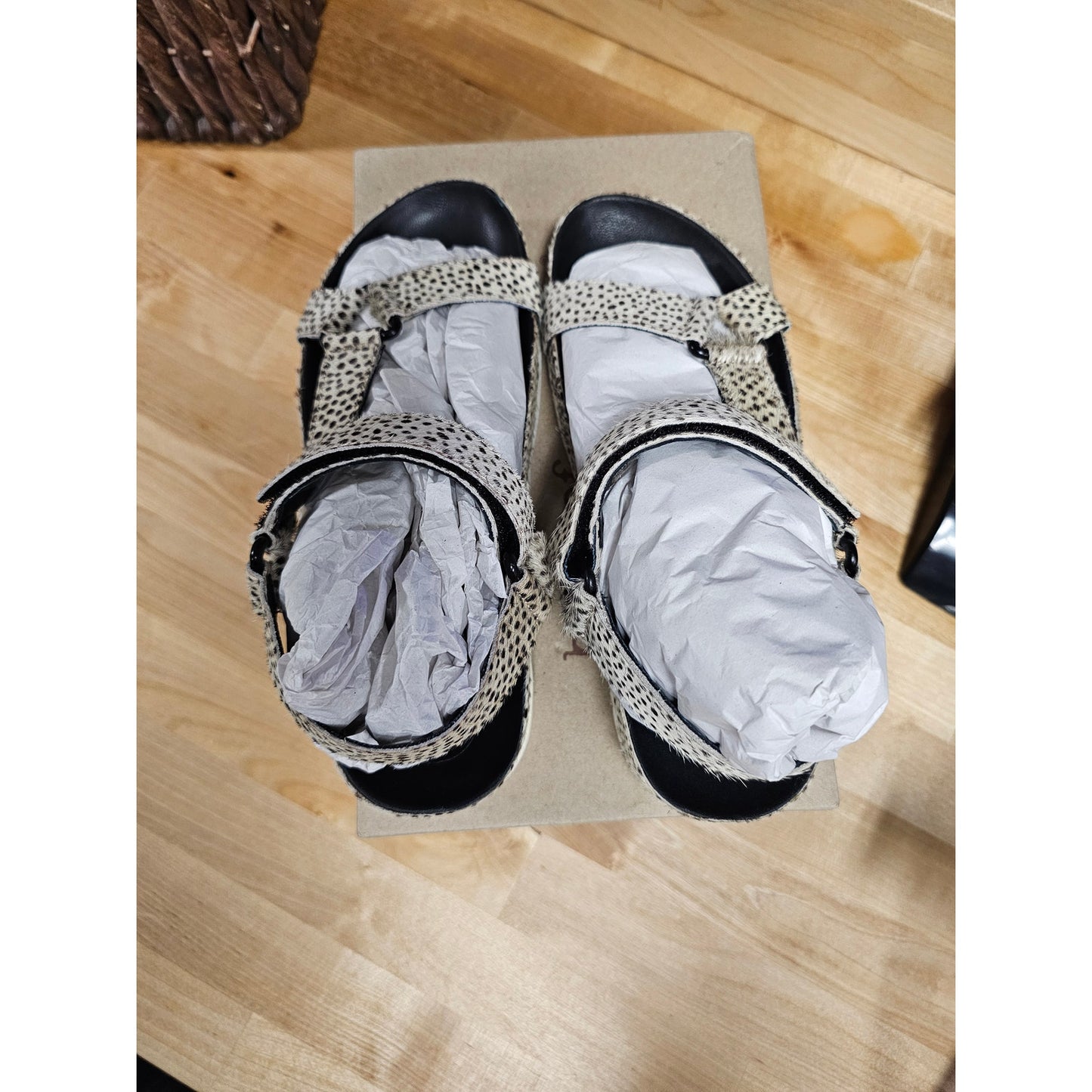 NWB Band Of Gypsies Women Newport Black/White Cow Hair Sandal Size 6