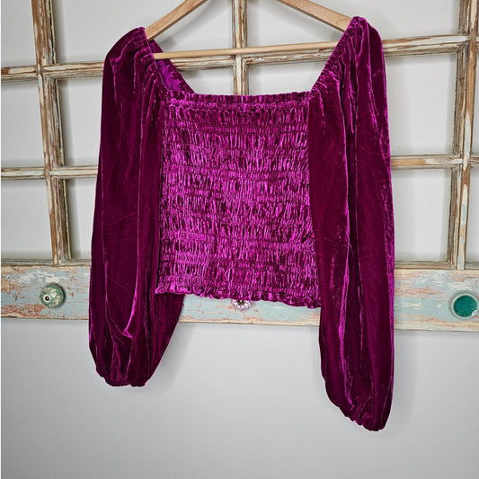 Anthropologie Crushed Velvet Magenta Renaissance style top Size Small