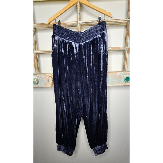 Anthropologie Blue Crushed Velvet Gloria Dressy Jogger ladies size XL